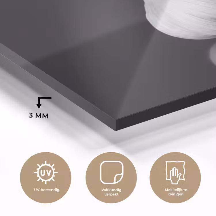 Knoflook - Zwart - Wit plexiglas 5mm klein -sfeer2