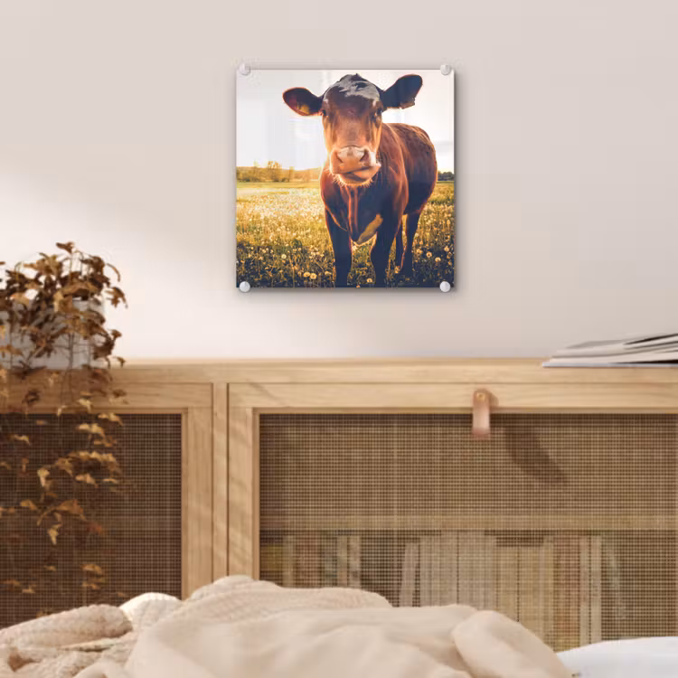 Koe - Zonsondergang - Bloemen - Gras - Dieren plexiglas 5mm klein -sfeer4