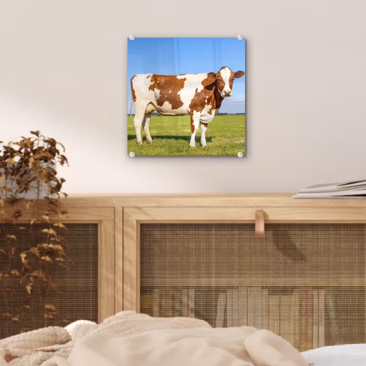 Koeien - Boerderij - Gras- Natuur - Dieren plexiglas 5mm klein -sfeer4