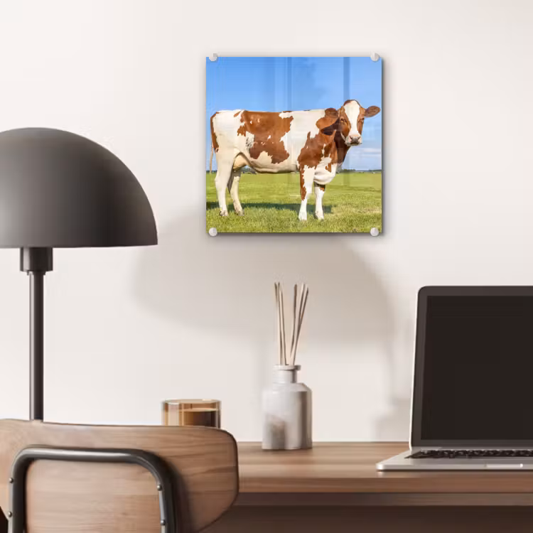 Koeien - Boerderij - Gras- Natuur - Dieren plexiglas 5mm klein -sfeer6