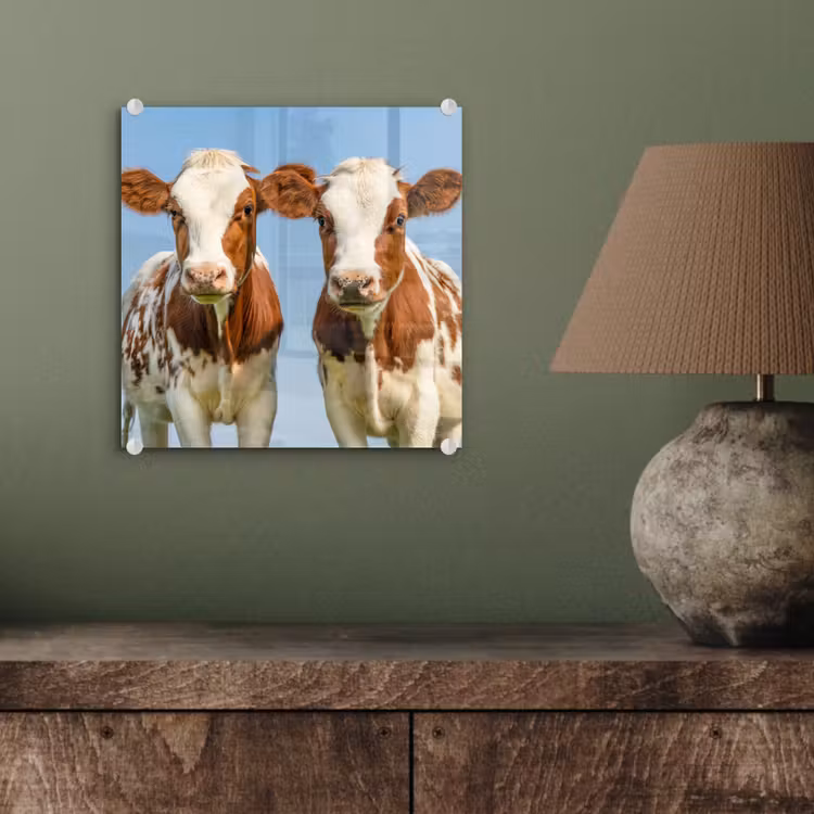 Koeien - Lucht - Dieren - Boerderij - Portret plexiglas 5mm klein -sfeer3