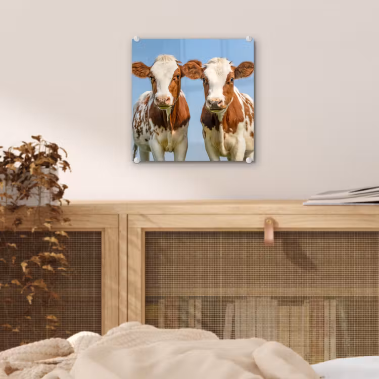 Koeien - Lucht - Dieren - Boerderij - Portret plexiglas 5mm klein -sfeer4