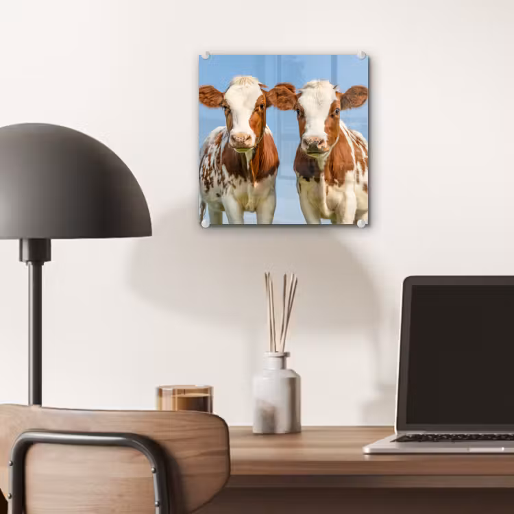 Koeien - Lucht - Dieren - Boerderij - Portret plexiglas 5mm klein -sfeer6