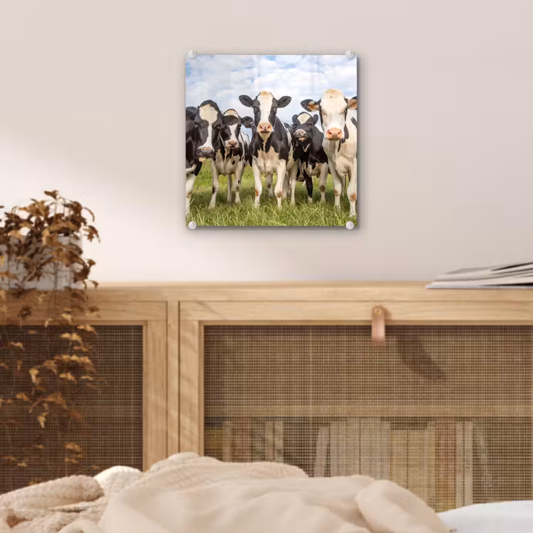 Koeien - Weiland - Dieren - Natuur - Gras plexiglas 5mm klein -sfeer4