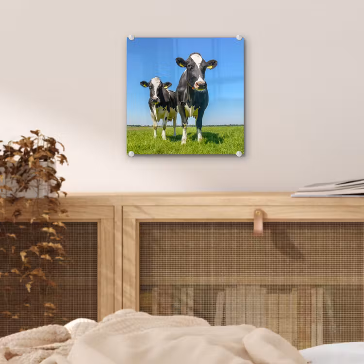 Koeien - Weiland - Gras - Dieren - Boerderij plexiglas 5mm klein -sfeer4