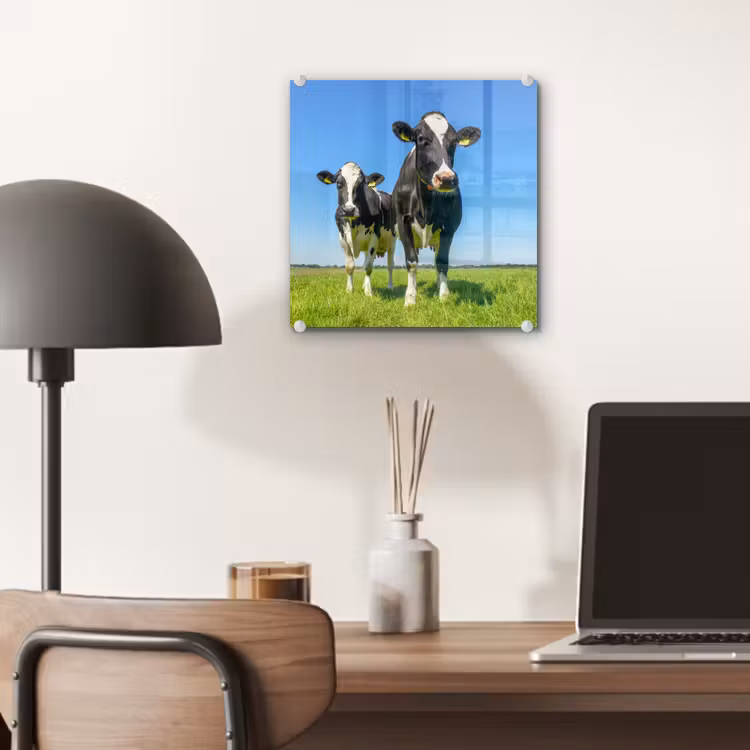 Koeien - Weiland - Gras - Dieren - Boerderij plexiglas 5mm klein -sfeer6