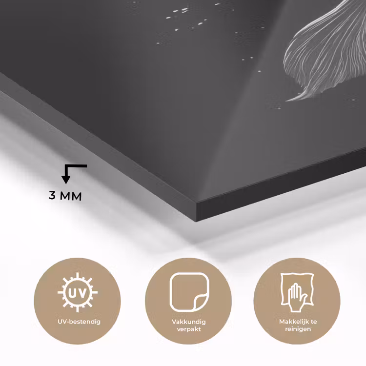 Koi - Vis - Wit - Zwart plexiglas 5mm klein -sfeer2