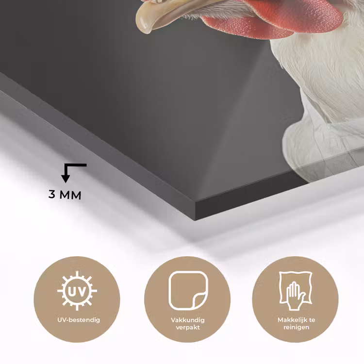 Kok - Rood - Kip plexiglas 5mm klein -sfeer2