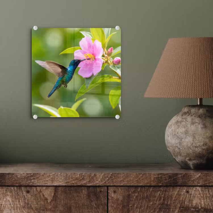 Kolibrie - Bloem - Natuur - Groen plexiglas 5mm klein -sfeer3