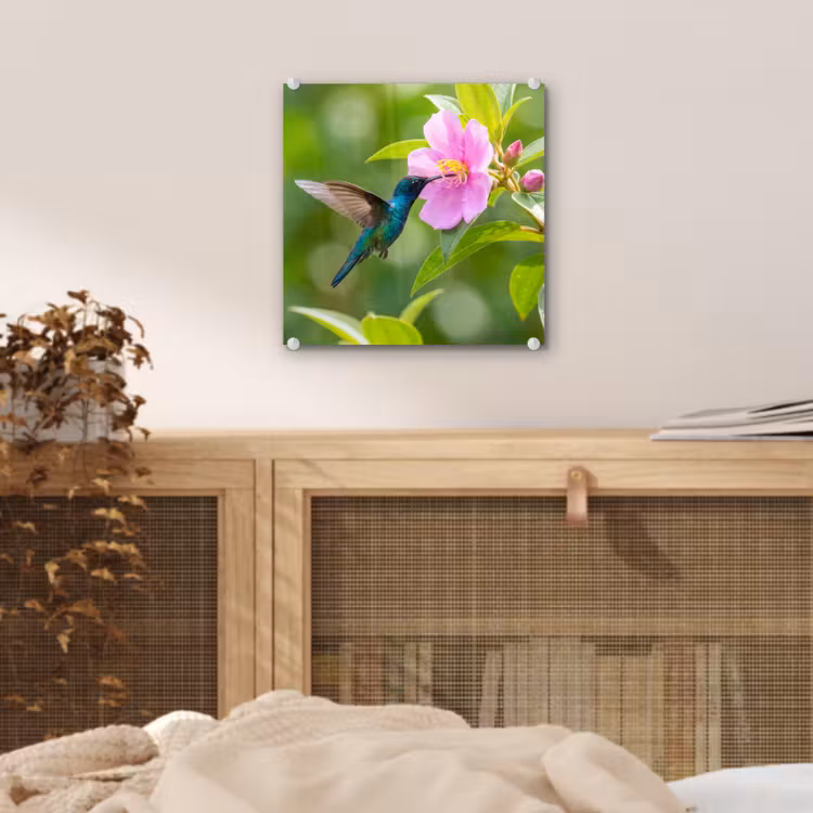 Kolibrie - Bloem - Natuur - Groen plexiglas 5mm klein -sfeer4