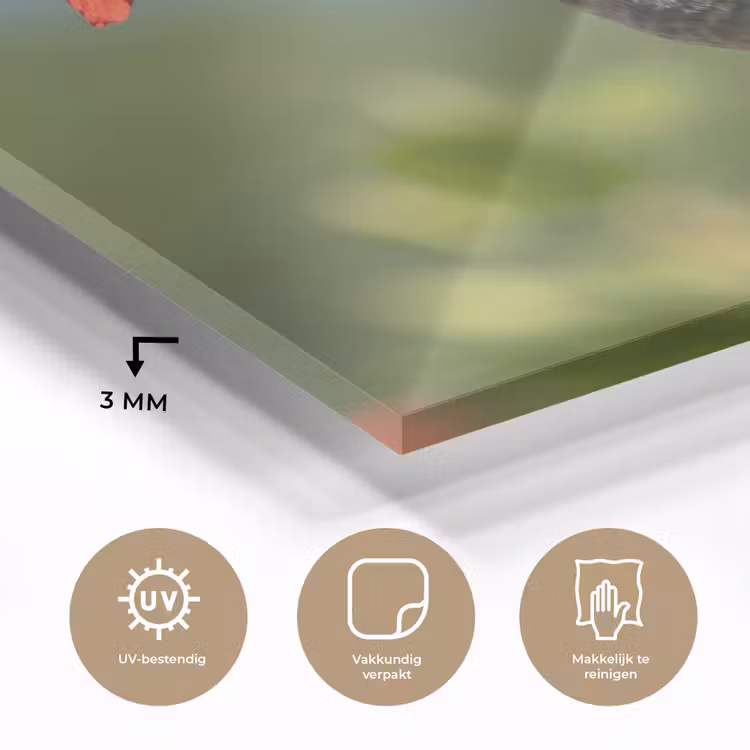 Kolibrie - Bloem - Natuur - Groen plexiglas 5mm klein -sfeer2