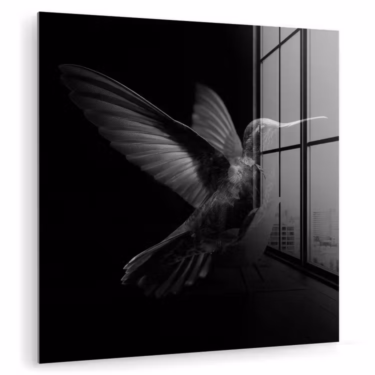 Kolibrie - Zwart - Dieren plexiglas 5mm klein -zzzproduct_nieuw