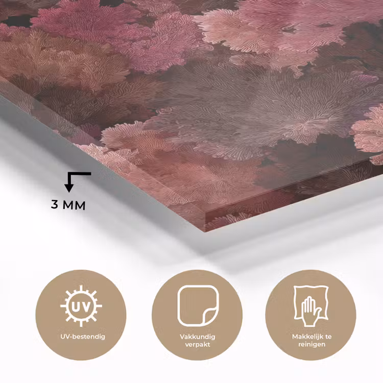 Koraal - Textuur - Kleurrijk plexiglas 5mm klein 11 -sfeer2