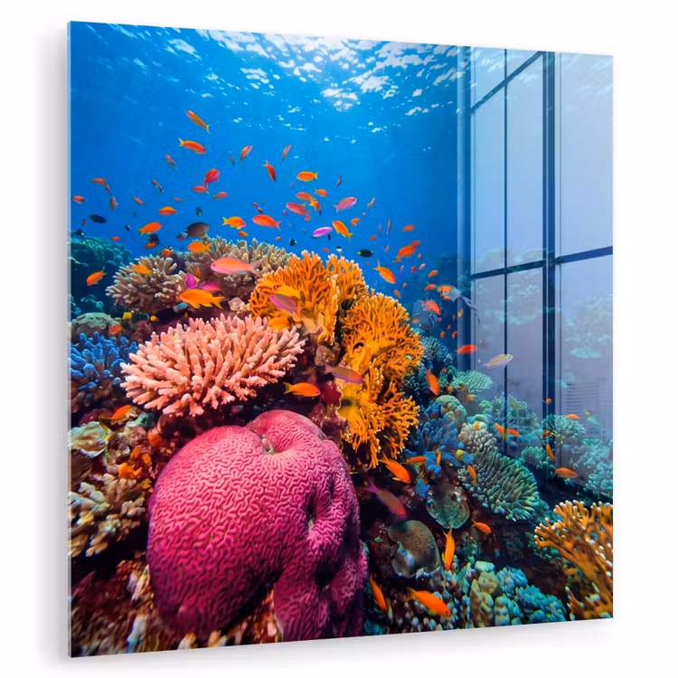 Koraal - Vissen - Oceaan - Natuur - Kleurrijk plexiglas 5mm klein -zzzproduct_nieuw