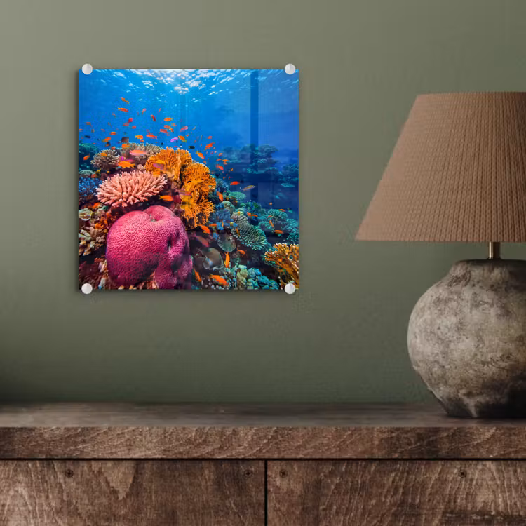 Koraal - Vissen - Oceaan - Natuur - Kleurrijk plexiglas 5mm klein -sfeer3