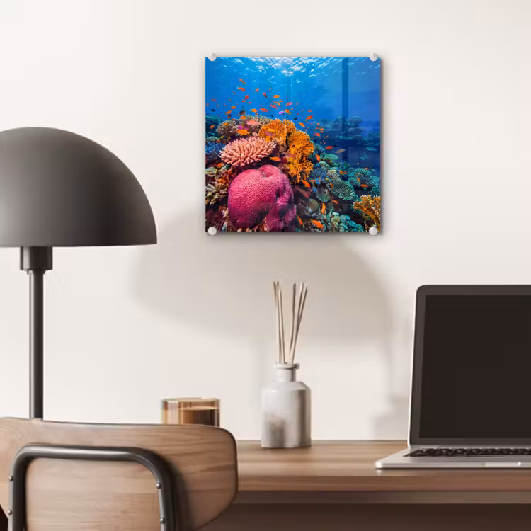 Koraal - Vissen - Oceaan - Natuur - Kleurrijk plexiglas 5mm klein -sfeer6