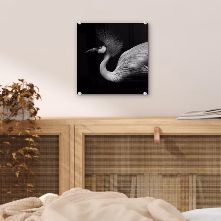 Kraanvogel - Zwart - Wit - Vogel - Dieren plexiglas 5mm klein -sfeer4