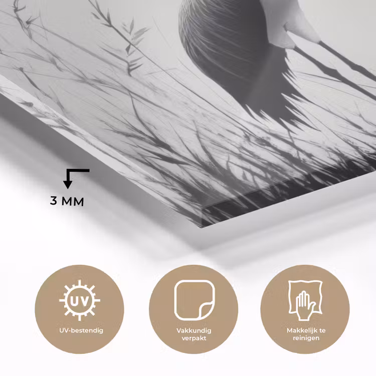 Kraanvogels - Gras - Hartvorm - Zwart plexiglas 5mm klein -sfeer2