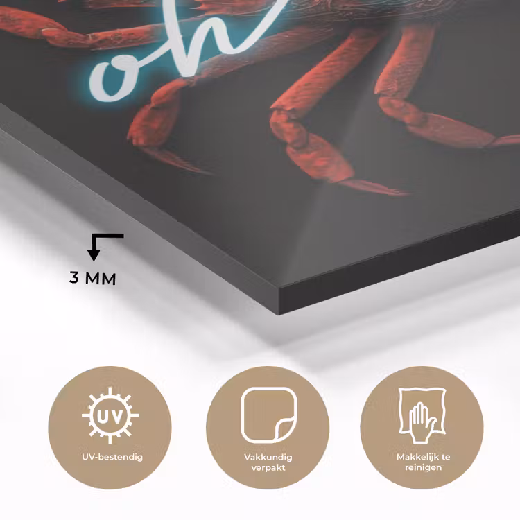 Krab - Rood - Neon - Quote plexiglas 5mm klein -sfeer2