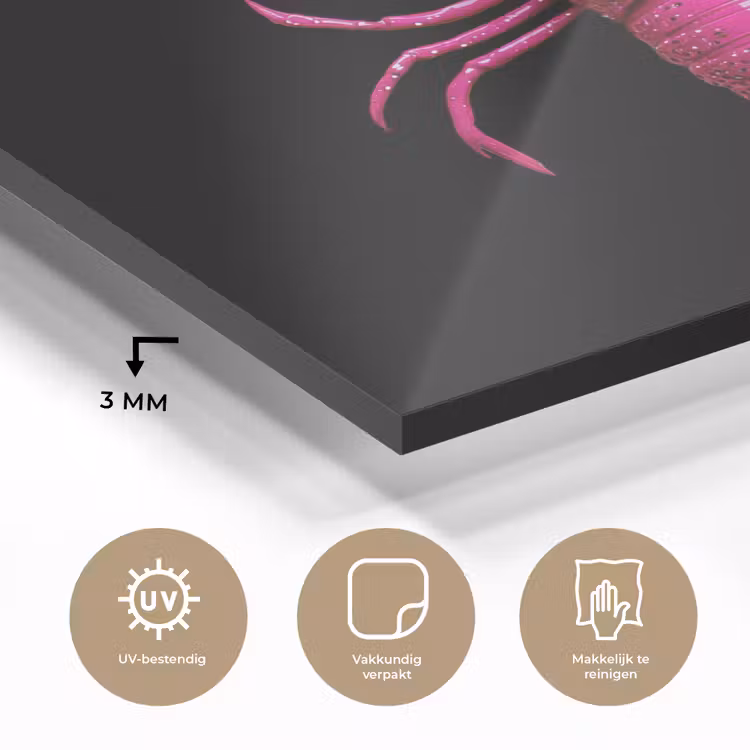 Kreeft - Felroze - Stippen - Opvallend plexiglas 5mm klein -sfeer2