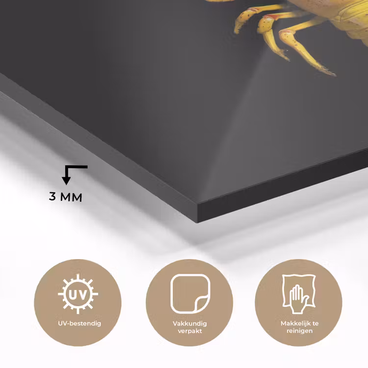 Kreeft - Geel - Stippen - Effen plexiglas 5mm klein -sfeer2