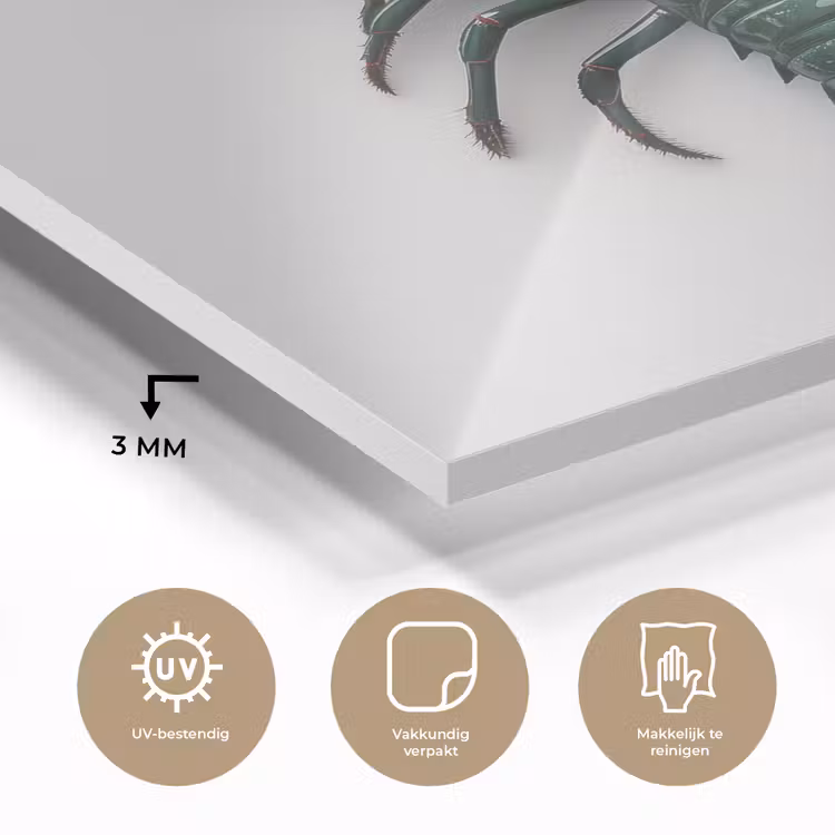 Kreeft - Glossier - Groen - Wit plexiglas 5mm klein -sfeer2