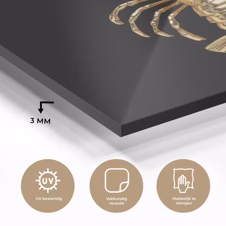 Kreeft - Goud - Textuur - Zwart plexiglas 5mm klein -sfeer2