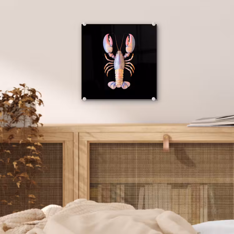 Kreeft - Roze - Zacht - Zwart plexiglas 5mm klein -sfeer4