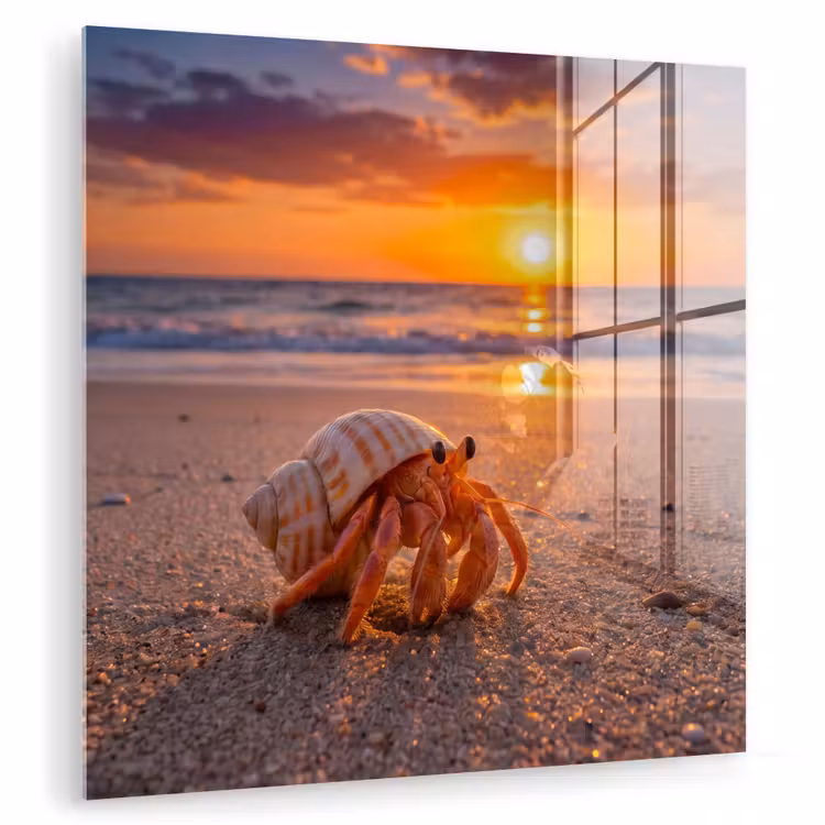 Kreeft - Strand - Natuur - Zonsondergang - Oranje plexiglas 5mm klein -zzzproduct_nieuw