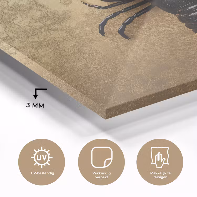 Kreeft - Zwart - Goud - Luxe plexiglas 5mm klein -sfeer2