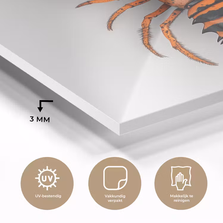 Kreeft - Zwart - Oranje - Wit - Uniek plexiglas 5mm klein -sfeer2