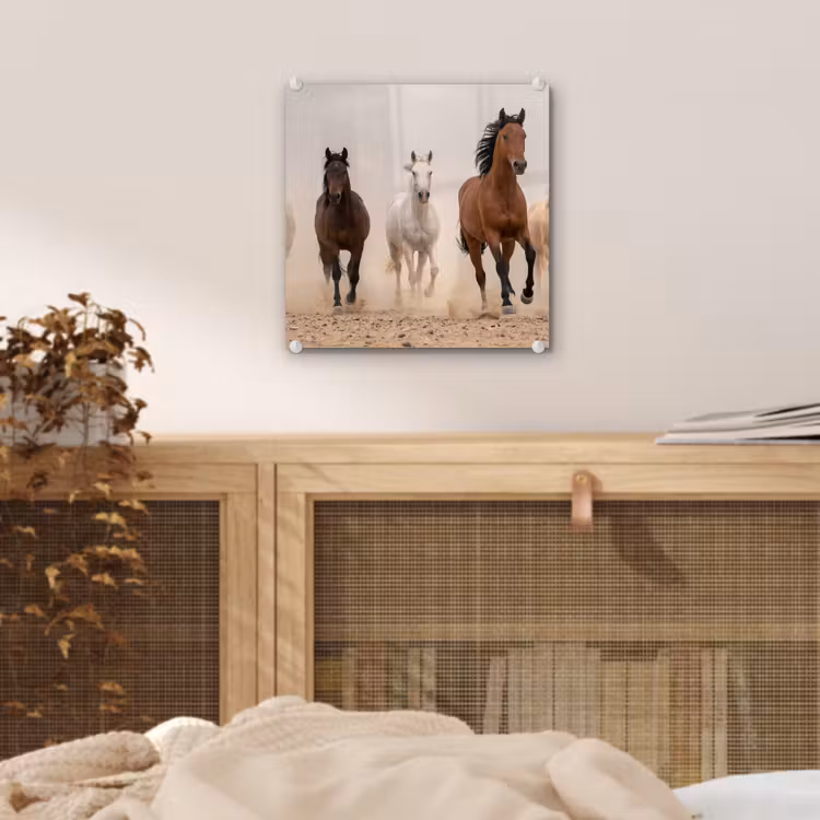 Kudde paarden - Stofwolk - Bruin - Zwart plexiglas 5mm klein -sfeer4