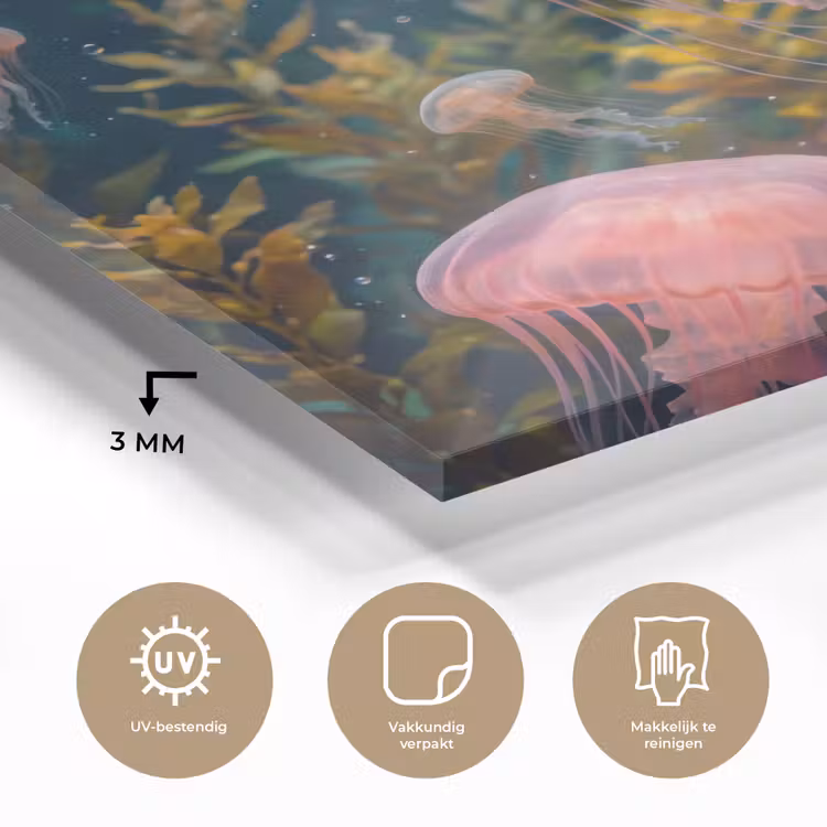 Kwal - Roze - Onderwater - Zeeleven - Dieren plexiglas 5mm klein -sfeer2