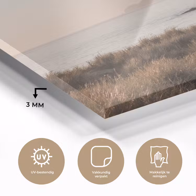 Landschap - Kust - Duinen plexiglas 5mm klein -sfeer2