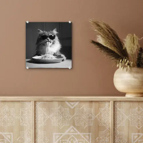 Langharige kat - Zonnebril - Spaghetti - Humor - Zwart - wit plexiglas 5mm klein -sfeer5