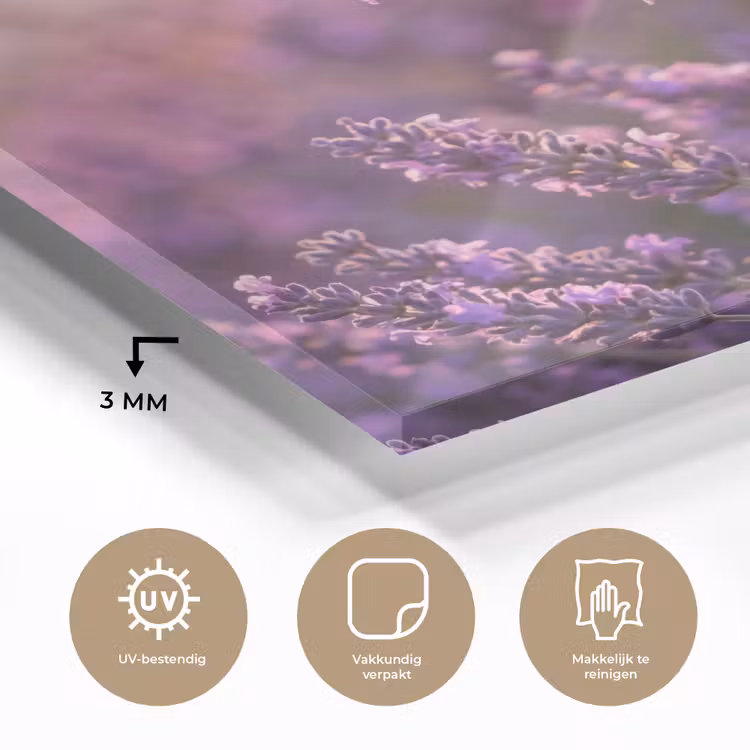 Lavendel - Paars - Zonlicht plexiglas 5mm klein -sfeer2