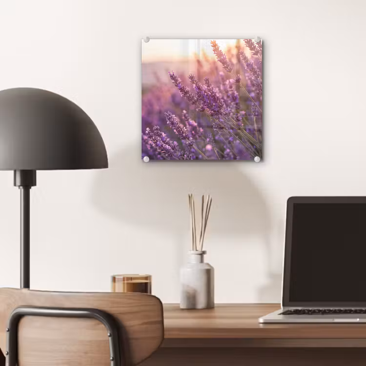 Lavendel - Paars - Zonlicht plexiglas 5mm klein -sfeer6
