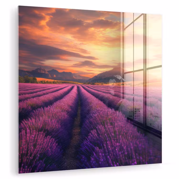 Lavendelveld - Zonsondergang - Paars plexiglas 5mm klein -zzzproduct_nieuw