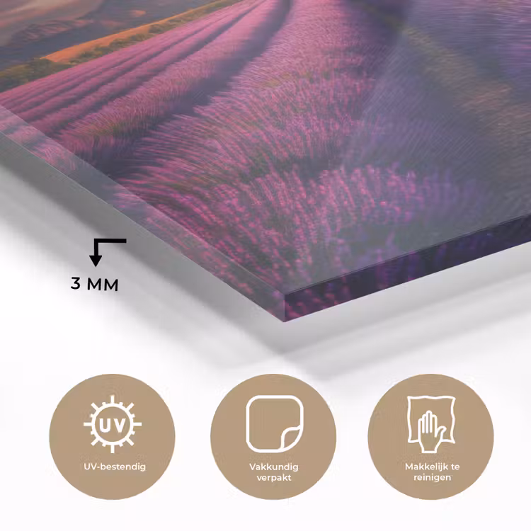 Lavendelveld - Zonsondergang - Paars plexiglas 5mm klein -sfeer2