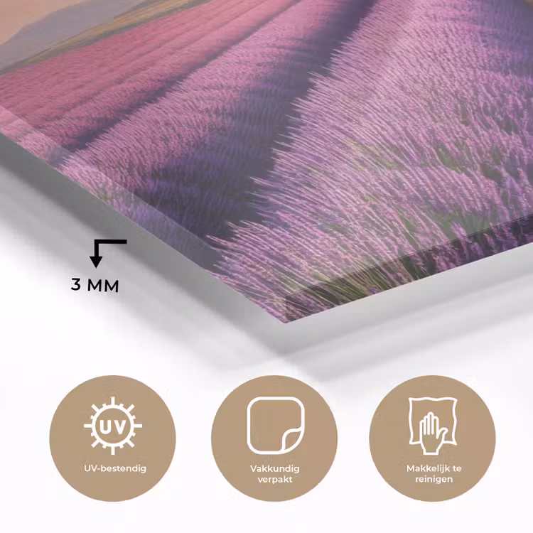 Lavendelveld - Zonsondergang - Paars - Bloemen plexiglas 5mm klein -sfeer2