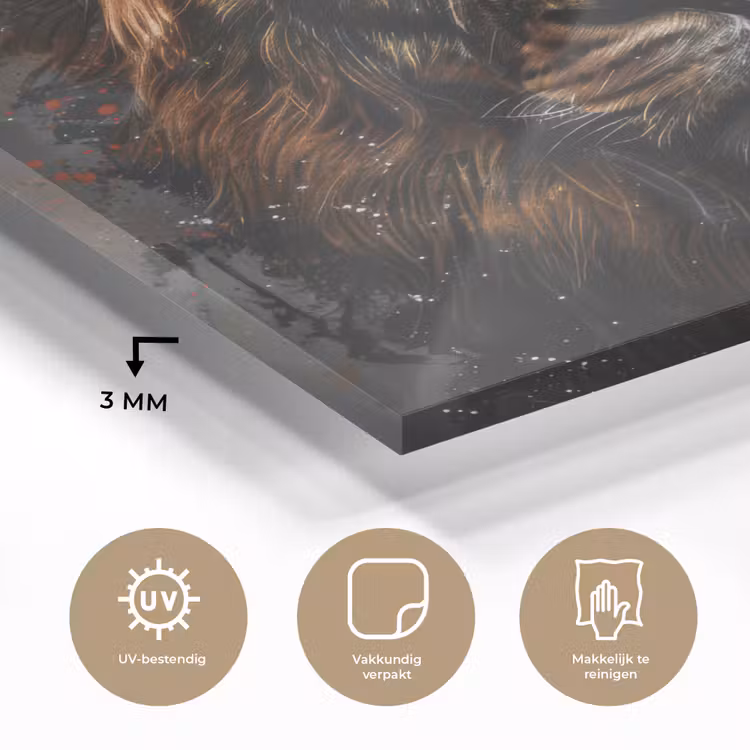 Leeuw - Dieren - Portret - Zwart - Luxe plexiglas 5mm klein -sfeer2