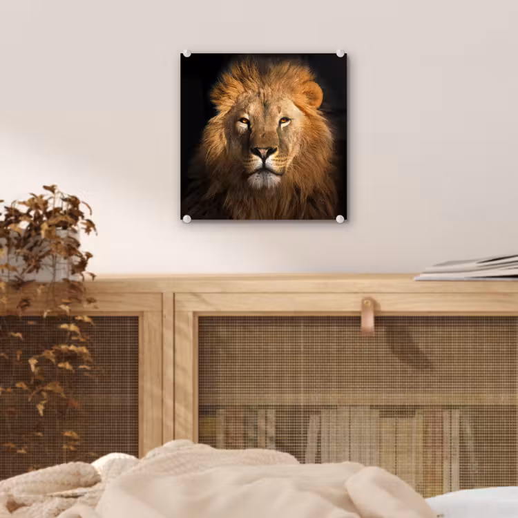 Leeuw - Dieren - Zwart - Licht - Bruin - Portret plexiglas 5mm klein -sfeer4