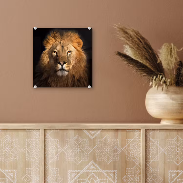 Leeuw - Dieren - Zwart - Licht - Bruin - Portret plexiglas 5mm klein -sfeer5