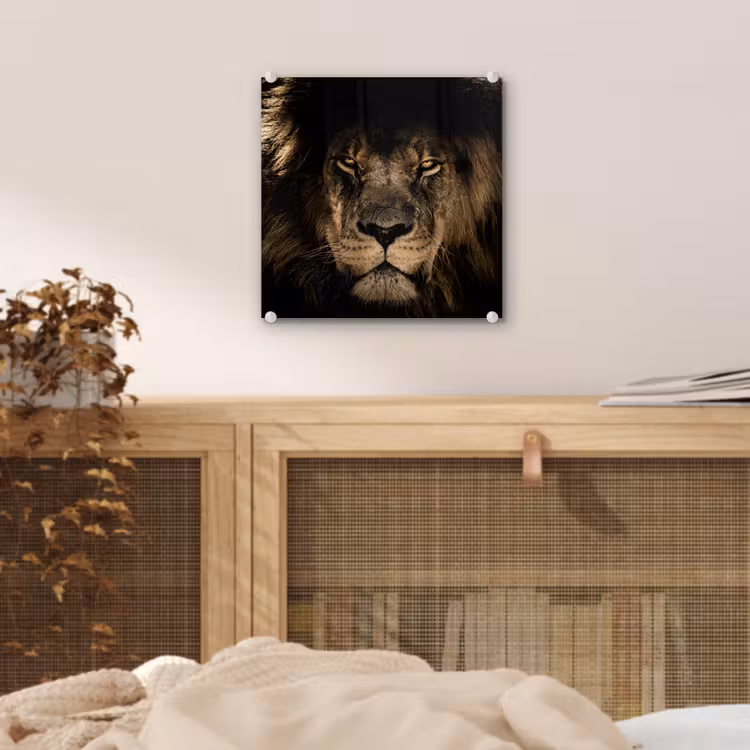 Leeuw - Dieren - Zwart - Portret plexiglas 5mm klein -sfeer4