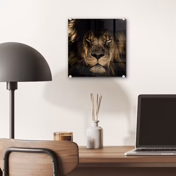 Leeuw - Dieren - Zwart - Portret plexiglas 5mm klein -sfeer6