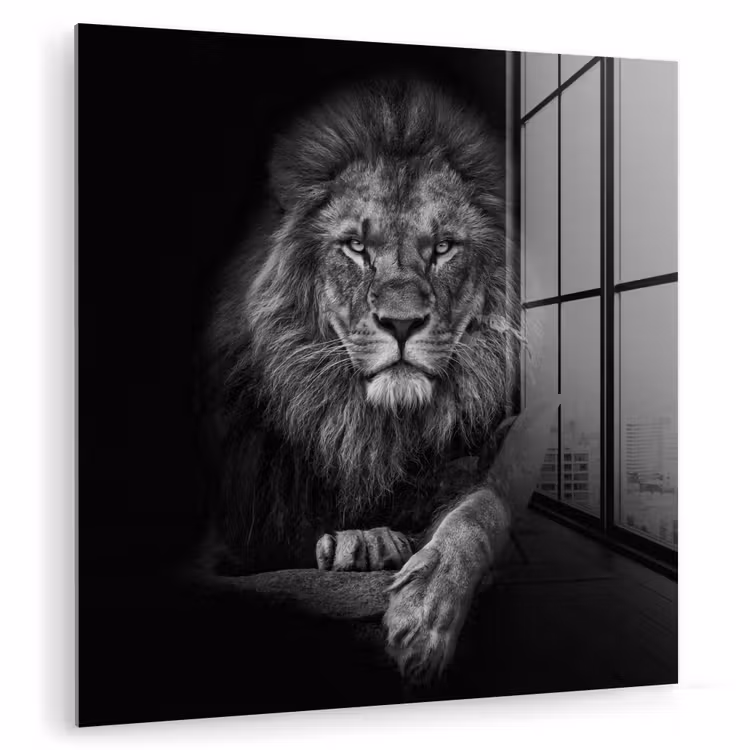 Leeuw - Dieren - Zwart - Wit plexiglas 5mm klein -zzzproduct_nieuw