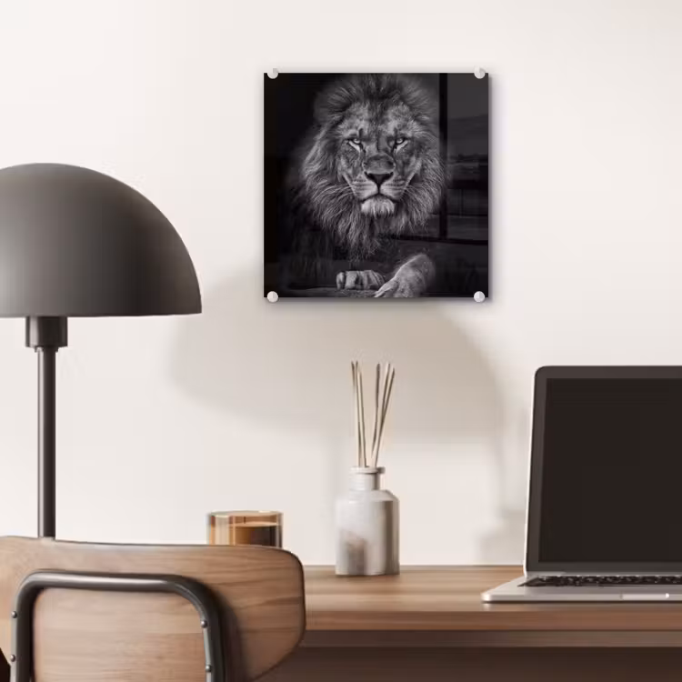 Leeuw - Dieren - Zwart - Wit plexiglas 5mm klein -sfeer6