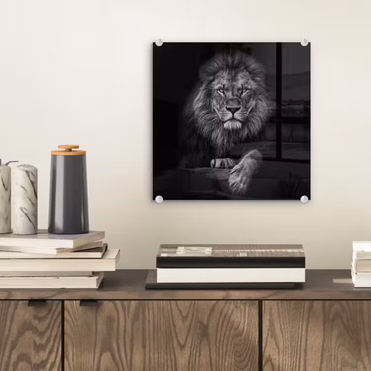 Leeuw - Dieren - Zwart - Wit plexiglas 5mm klein -sfeer1