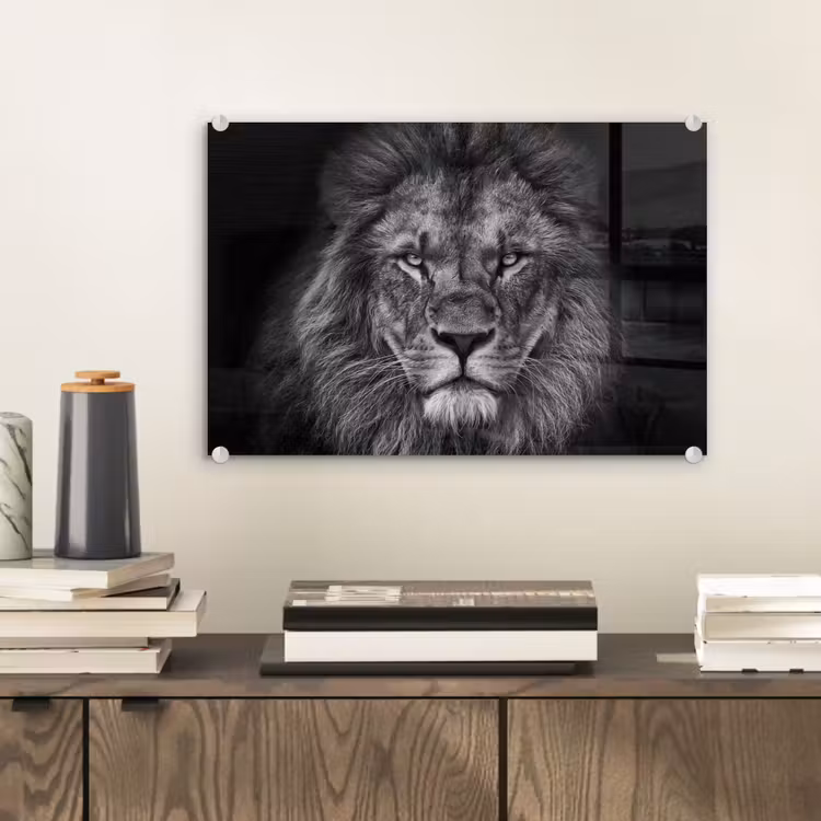 Leeuw - Dieren - Zwart - Wit plexiglas 5mm klein -sfeer1