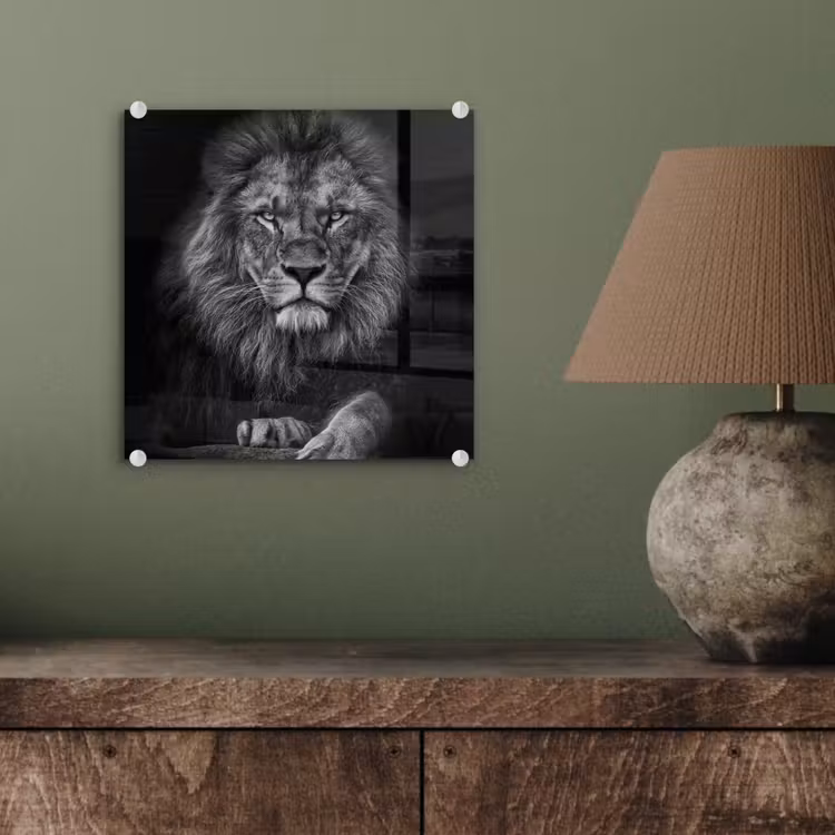 Leeuw - Dieren - Zwart - Wit plexiglas 5mm klein -sfeer3
